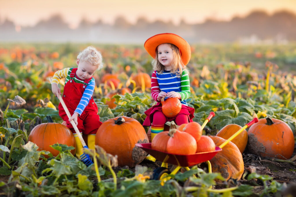 Kid Friendly Fall Activities Nyc